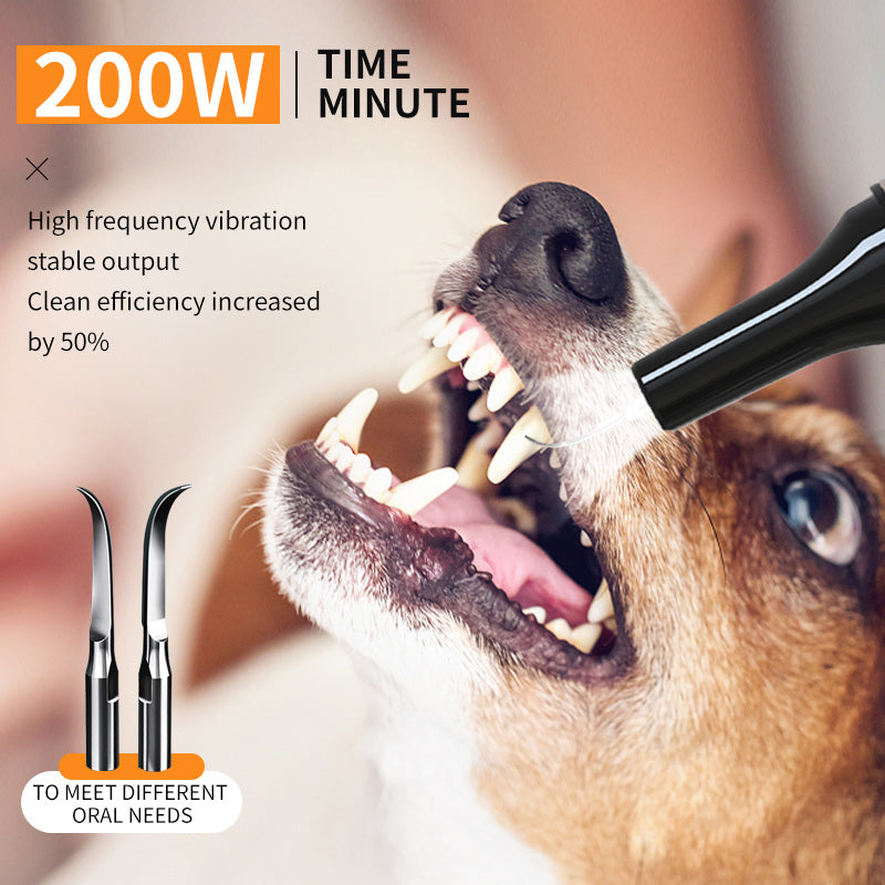 Ultrasonic ,pet teeth , cleaning device