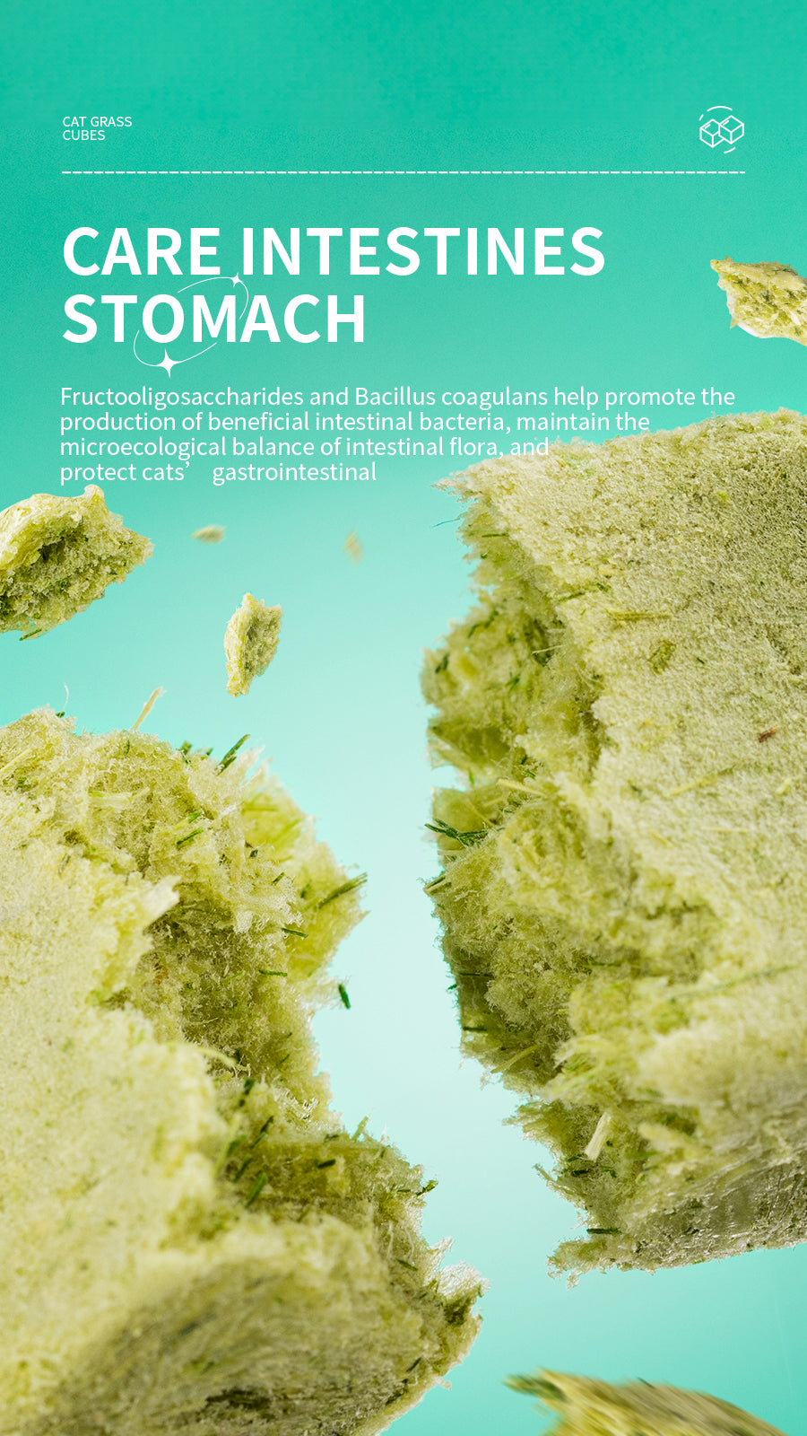 Cat grass , small,brick