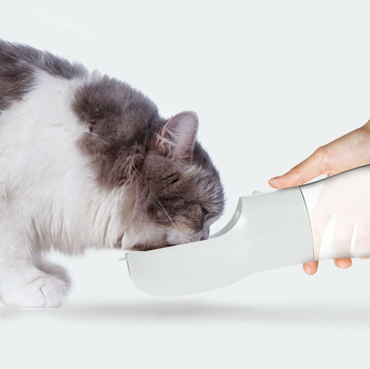 Cat Supplies