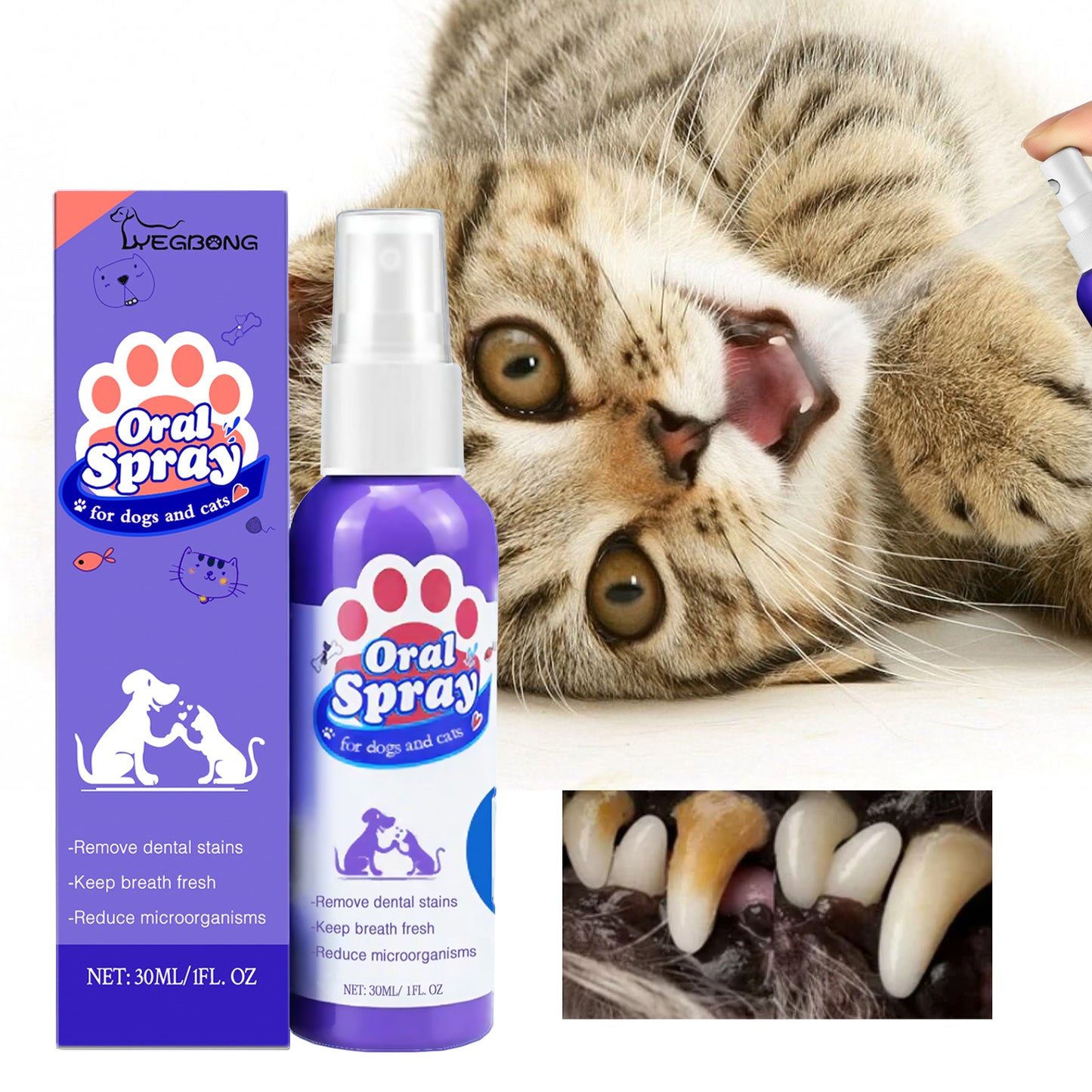 Cat and dog teeth cleaning ,remove tooth stains Fresh ,Pet oral care spray