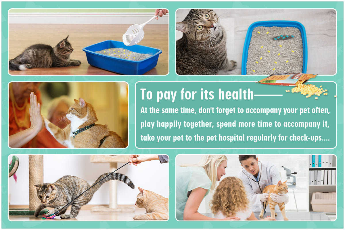 🟡 Product Title: Smart Color-Changing Cat Litter – Monitors Your Cat’s Health at Every Step