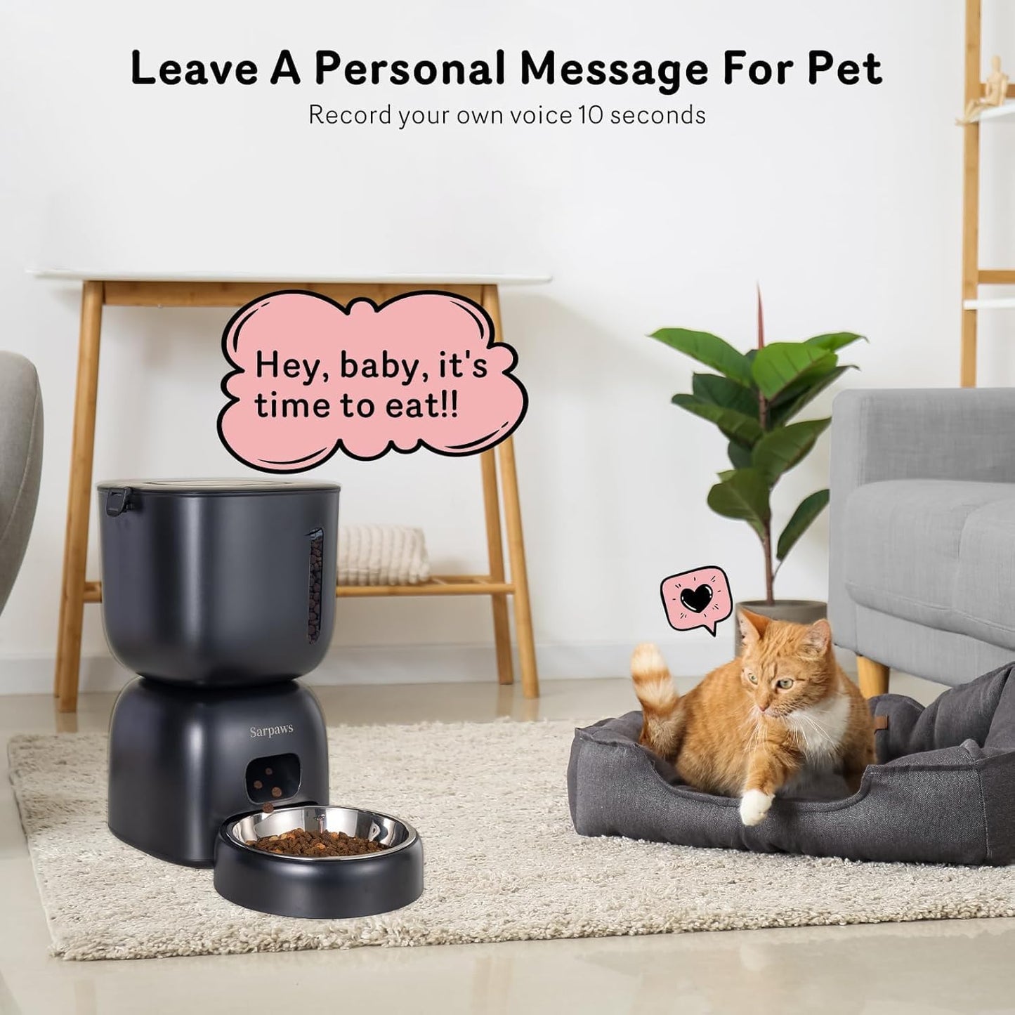 Next-Gen Smart Cat Feeding System – Dual Power Backup, Portion Control & Personalized Voice