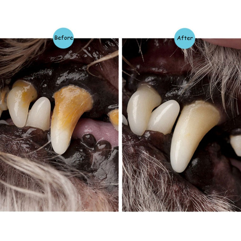 Dogs and Cats Toothbrush Pen,Pet Teeth Whitening Pen,Dog Cat Tartar Dental Calculus Cleaning Tool