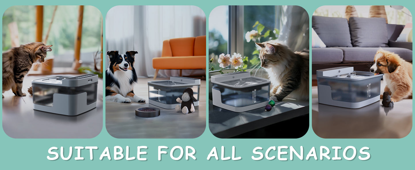 Pet Water Dispenser,Pet Water Dispenser,Pet Water Dispenser