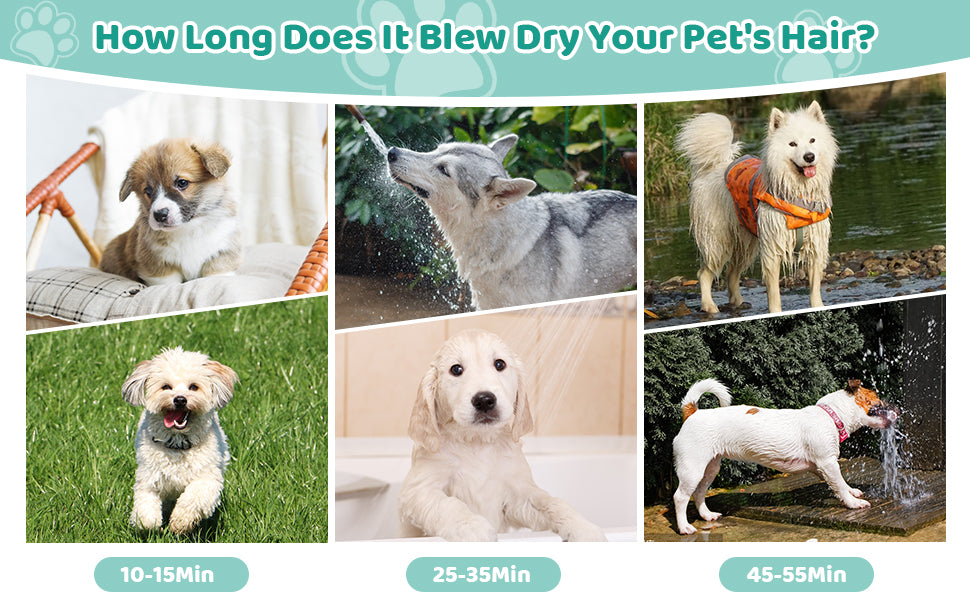 Brushless Motor,Handheld,Water Blower