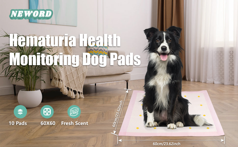 Dog Urine Detection Pads,Dog Urine Detection Pads,Dog Urine Detection Pads