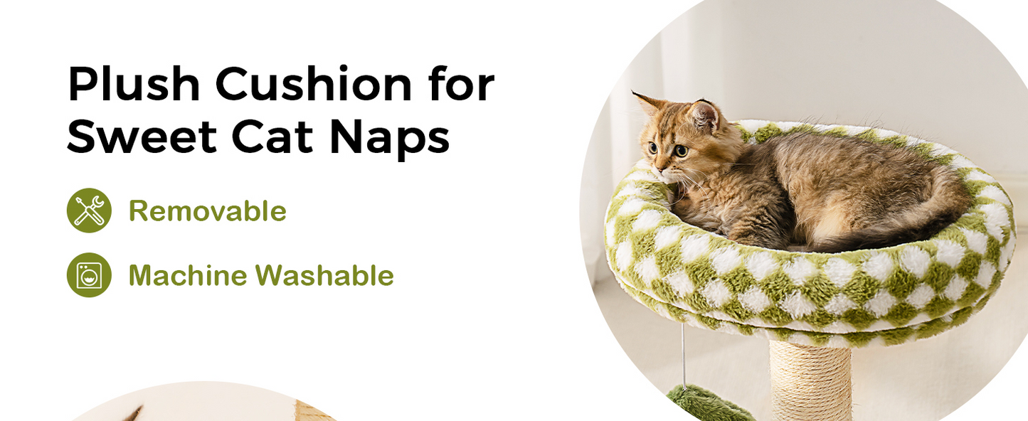 ROBOTIME,Mewoo,at Scratching Post,Small Cat Tower