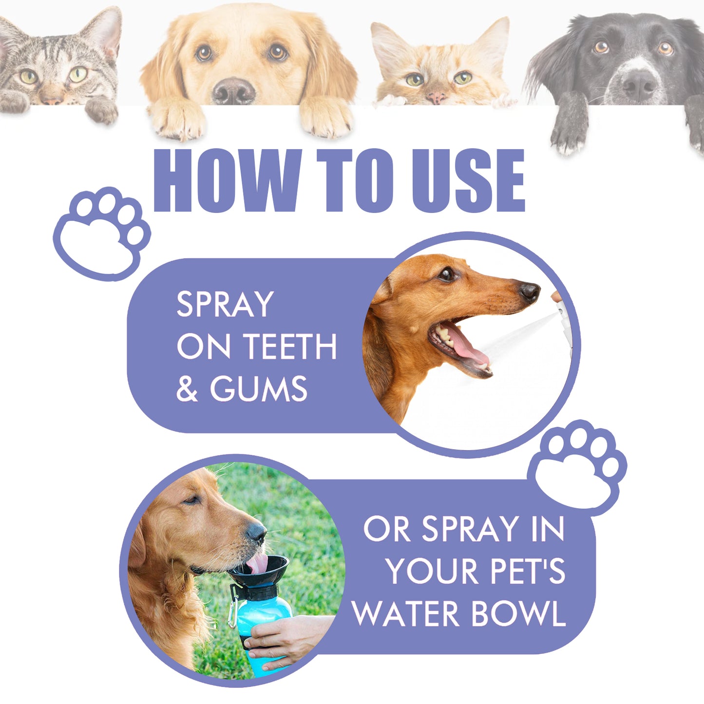 Cat and dog teeth cleaning ,remove tooth stains Fresh ,Pet oral care spray