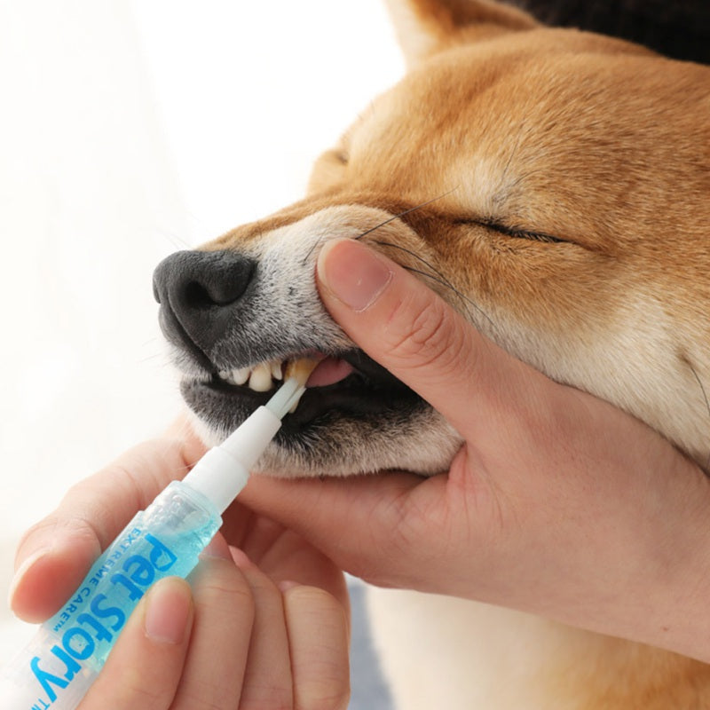 Dogs and Cats Toothbrush Pen,Pet Teeth Whitening Pen,Dog Cat Tartar Dental Calculus Cleaning Tool