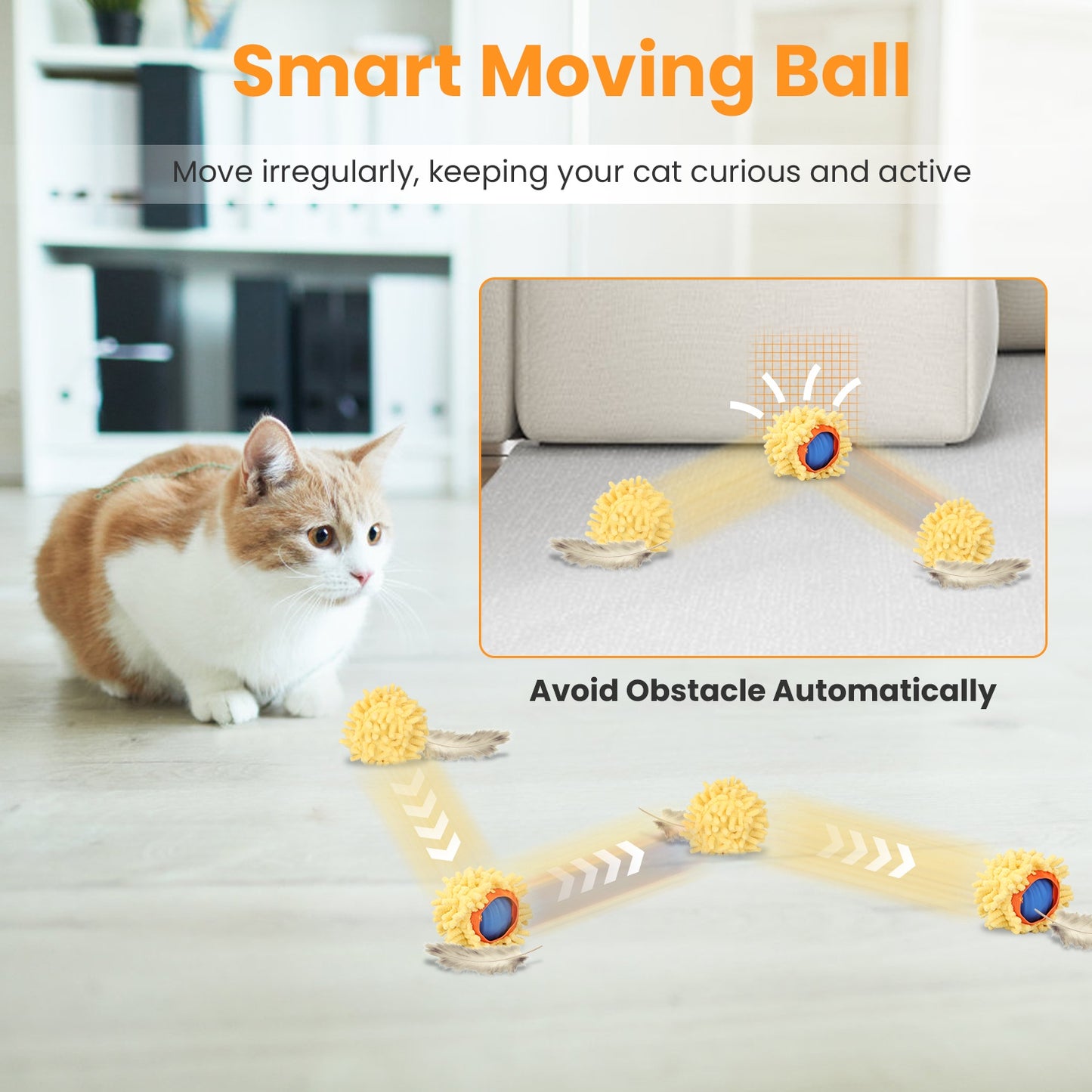 Cat Toys ,Cat Toys Ball ,Cats Hide