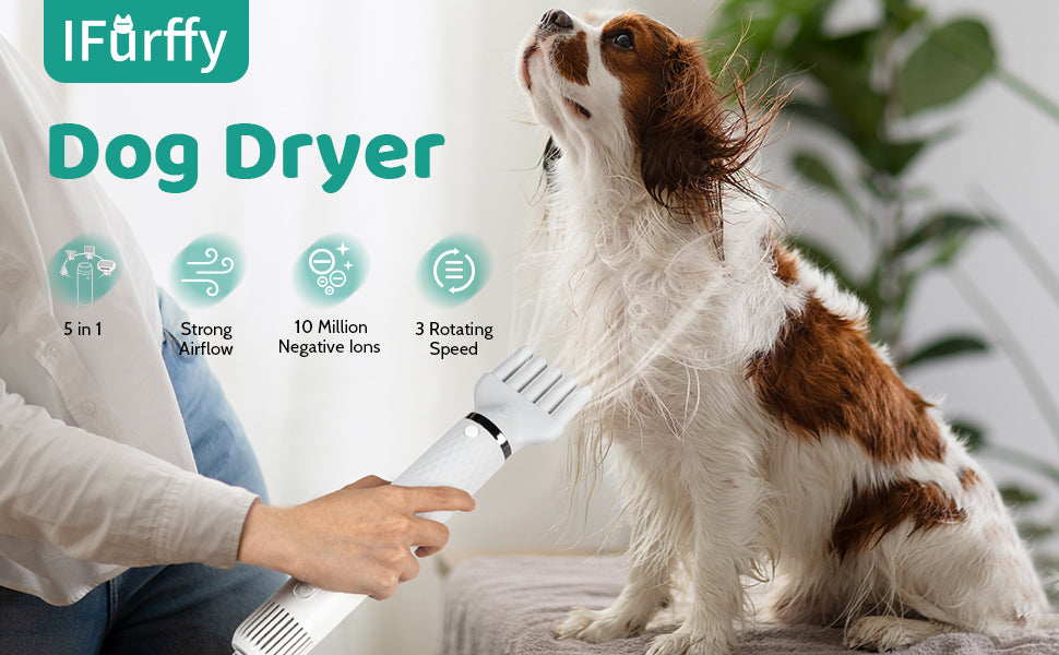 Brushless Motor,Handheld,Water Blower