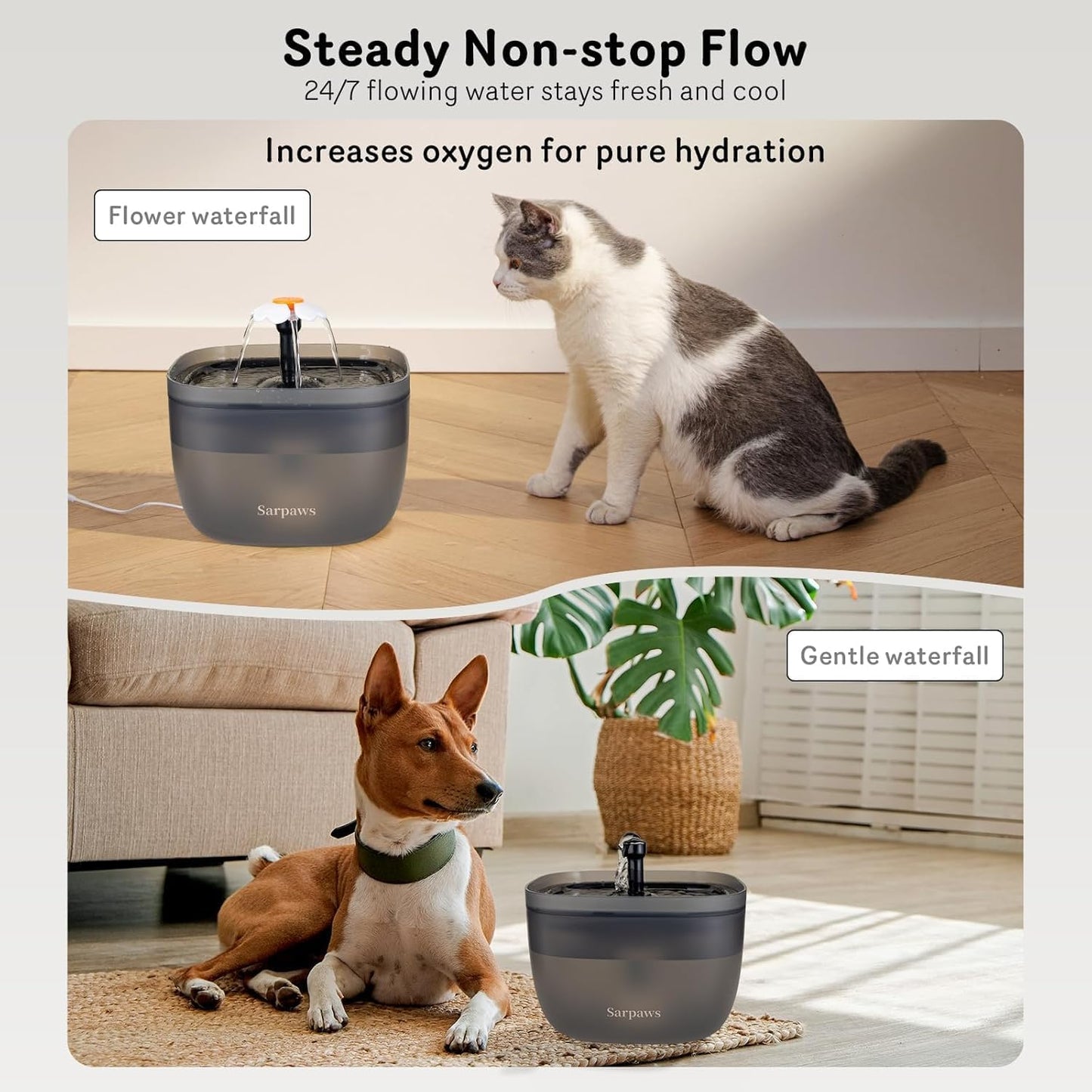 Next-Gen Smart Cat Feeding System – Dual Power Backup, Portion Control & Personalized Voice