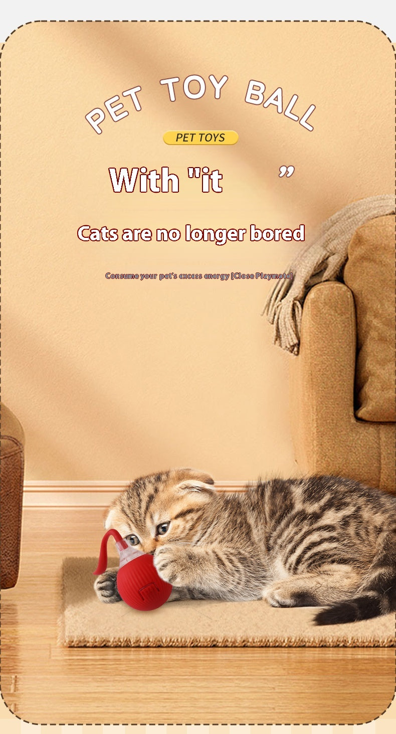 Cross-Border Hot-Selling Electric Cat Toy Automatic Teasing Cat Ball Self-Entertainment Bouncing Ball Smart Pet Toy Supplies,Cross-border Hot-selling Electric Cat Toy,Automatic Cat Teaser Ball Self-Entertainment