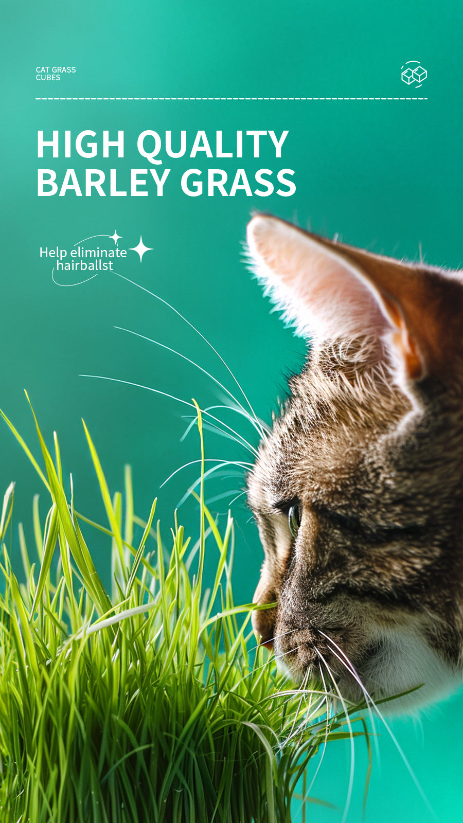 Cat grass , small,brick