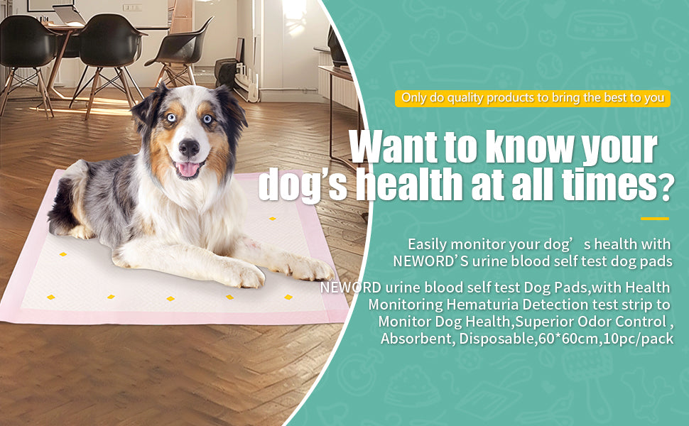 Dog Urine Detection Pads,Dog Urine Detection Pads,Dog Urine Detection Pads